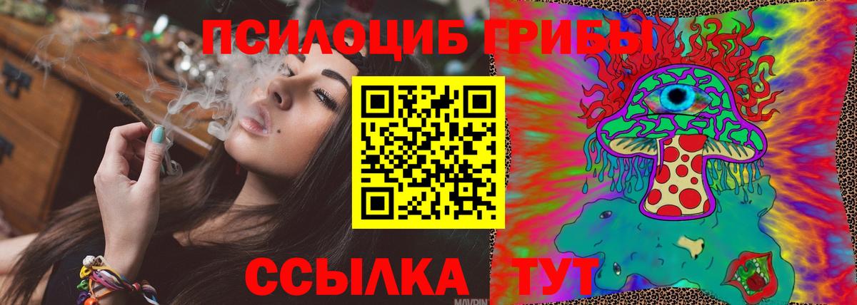 Псилоцибиновые грибы Psilocybe Шахты